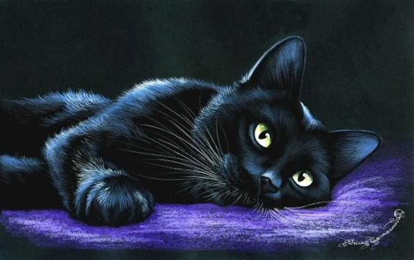 Черная кошка картина