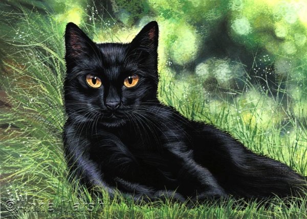 Черные коты в живописи