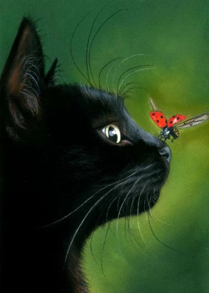 Черный кот на аву