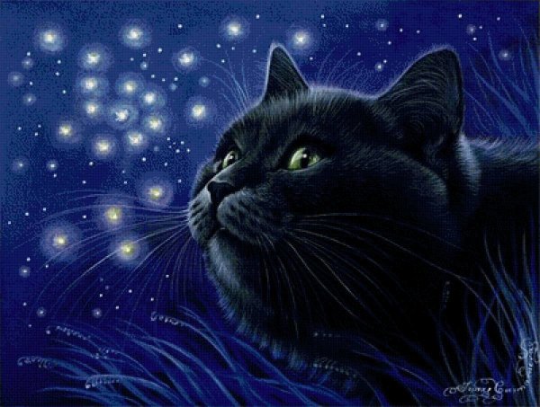 Рихард Донскис