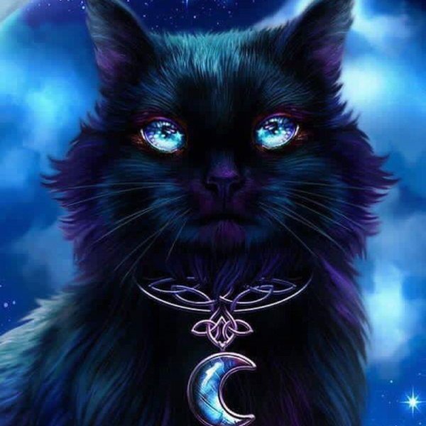 Черная кошка рисунок