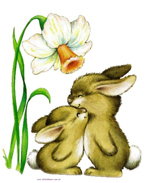 Милый зайчик