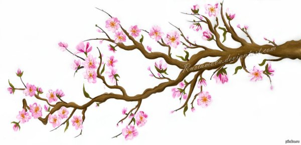 Сказочная веточка