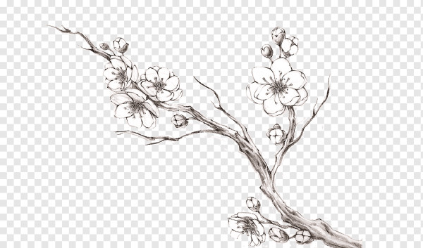 Веточка Графика