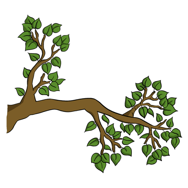 Ветка дерева на прозрачном фоне