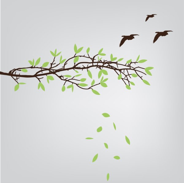 Веточка дерева