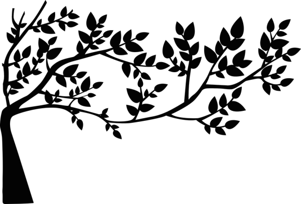 Ветка дерева