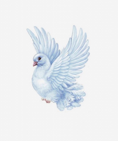 Отрисовки голубь