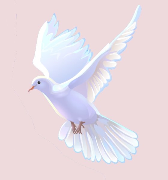 Голубь тату эскиз