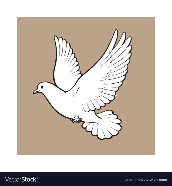 Белый голубь шаблон