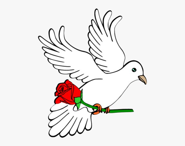 Белый голубь символ мира