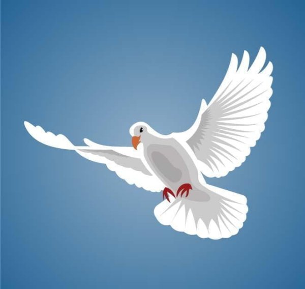 Голубь в полете живопись