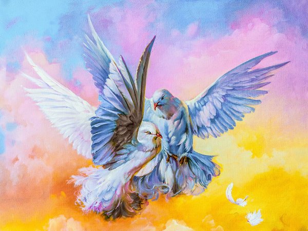 Открытка "голубь"