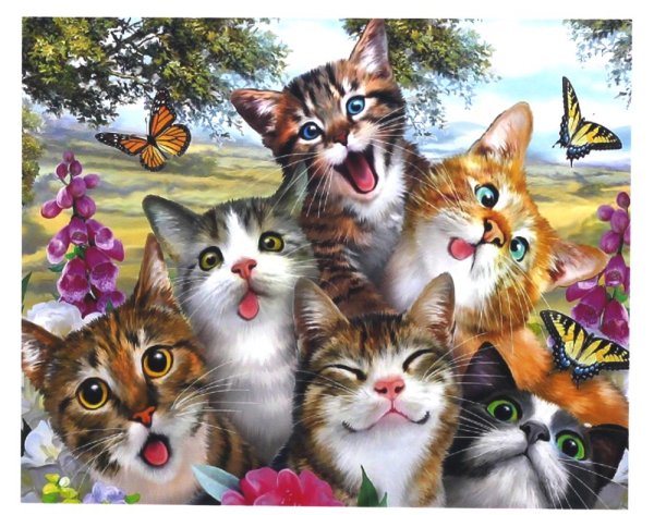Рисование по номерам кошка