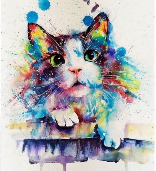 Рисунки разноцветные