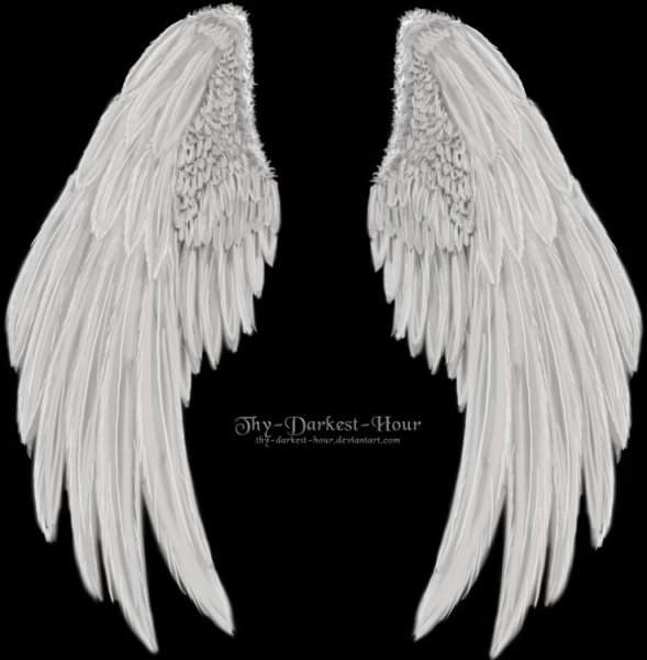 Опущенные Крылья