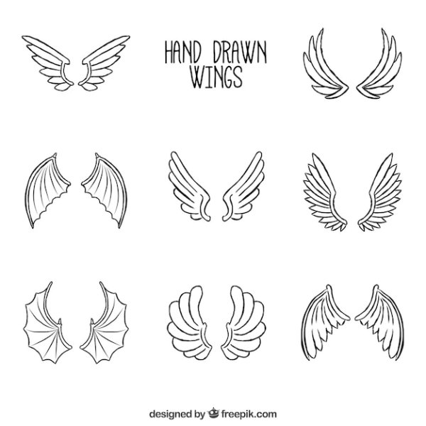 Крылья схематично