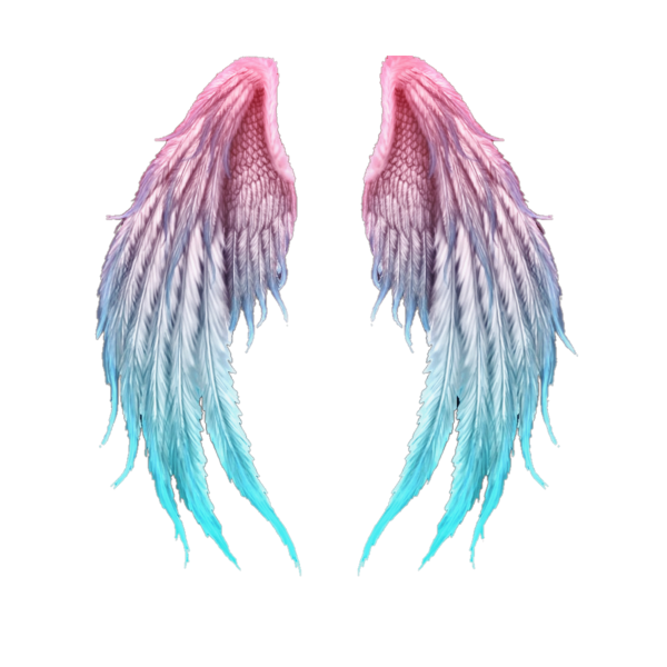 Крылья эскиз