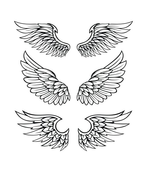 Крылья карандашом