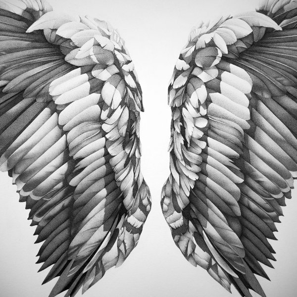 Крылья ангела и демона
