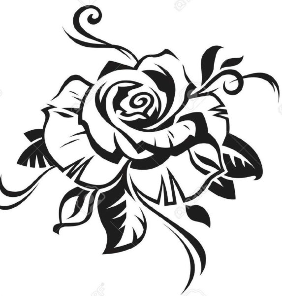 Трафарет розы для тату