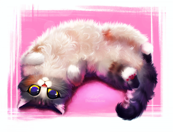 Милый котик арт