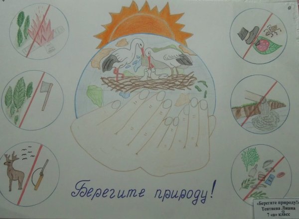 Рисунок на тему сохранение природы