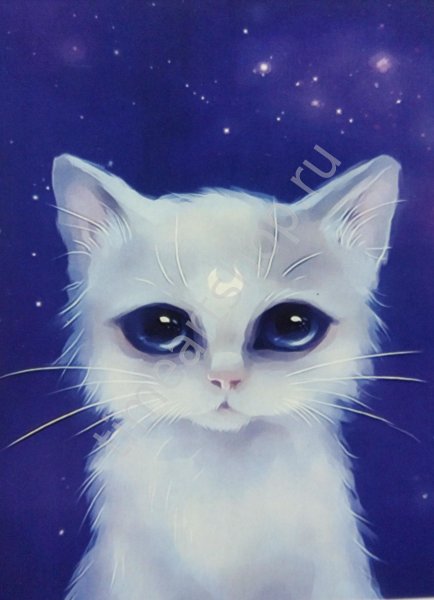 Котенок арт