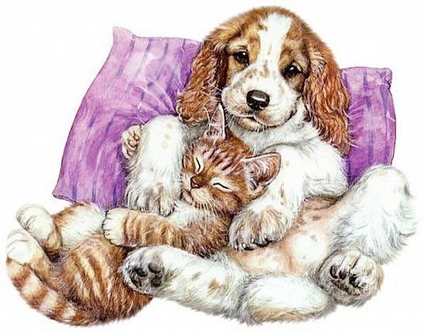 Кошка и собака иллюстрация