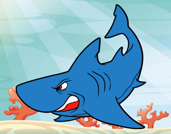 Акула для детей в детском саду