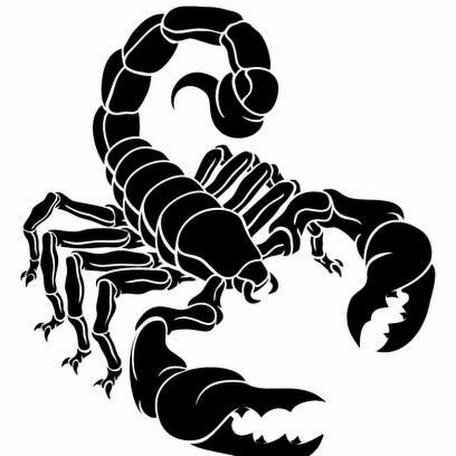Скорпион векторный рисунок