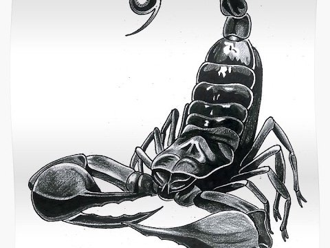 Скорпион эскиз