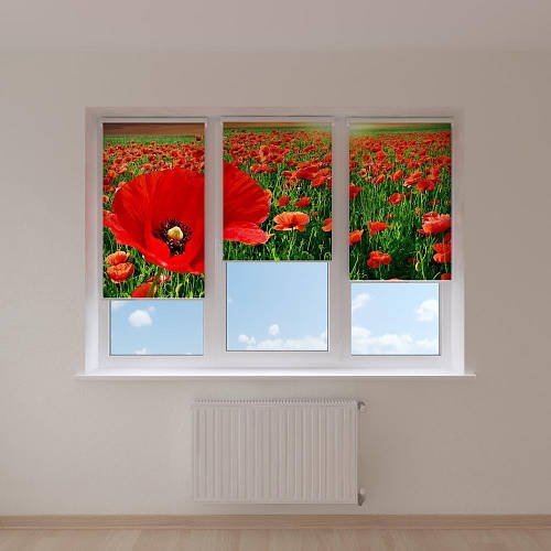 Жалюзи с фотопечатью