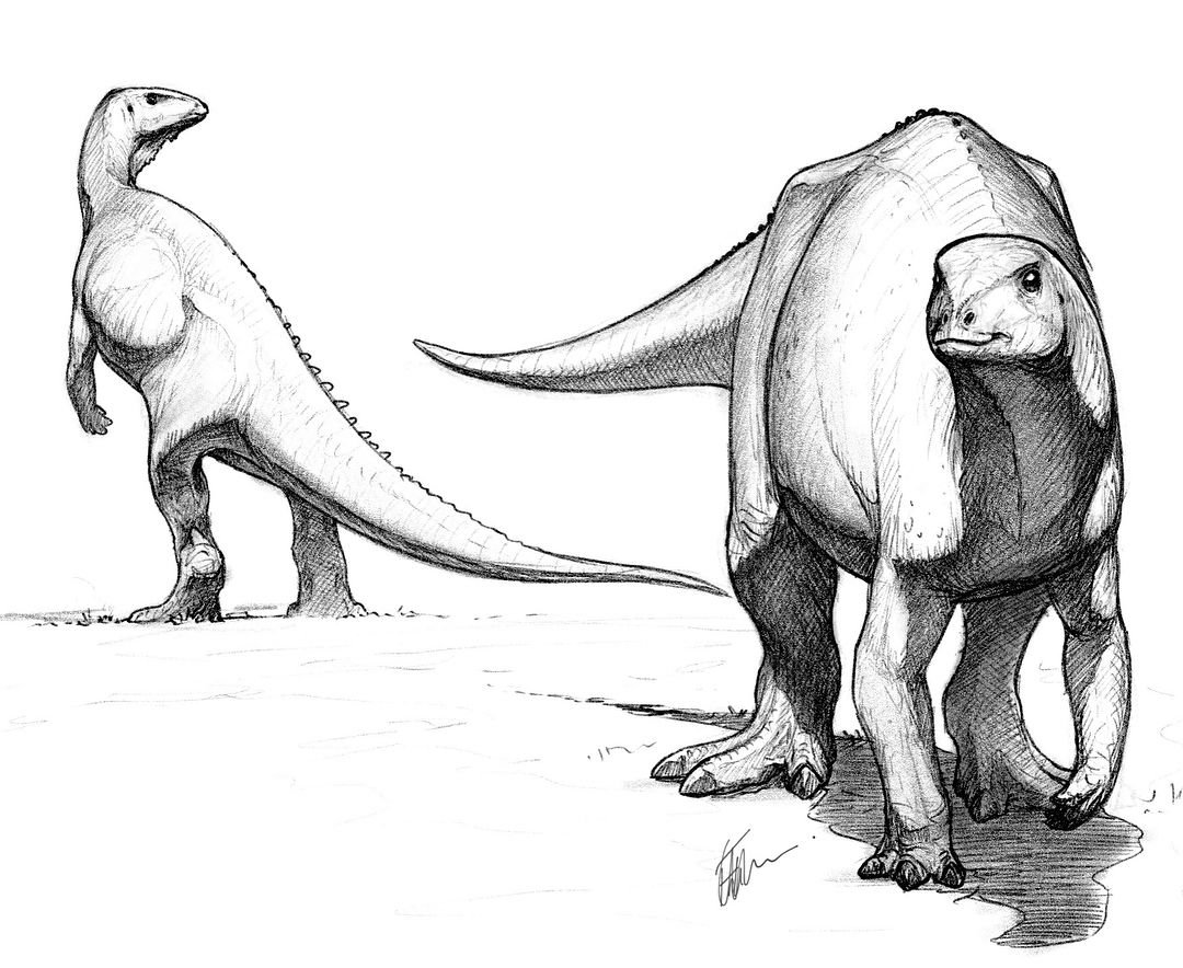 Рисунки динозавров взрослые