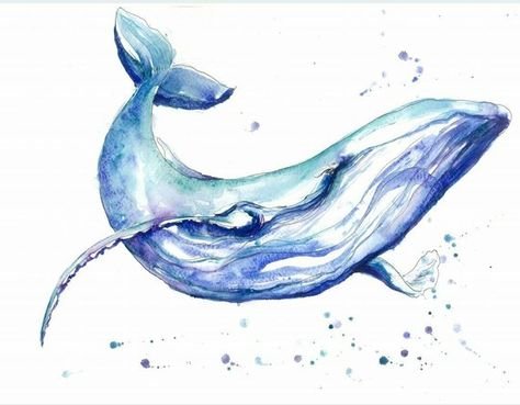 Кит рисунок
