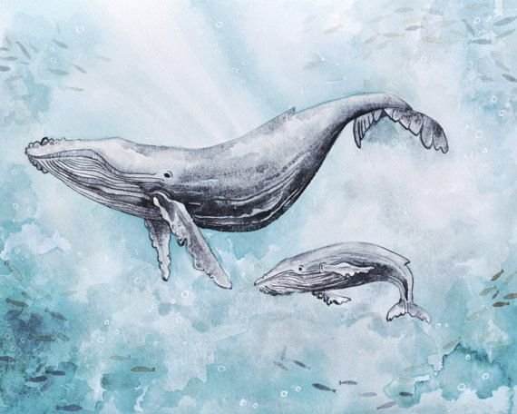 Нарисовать кита