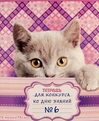 Красивые тетрадки