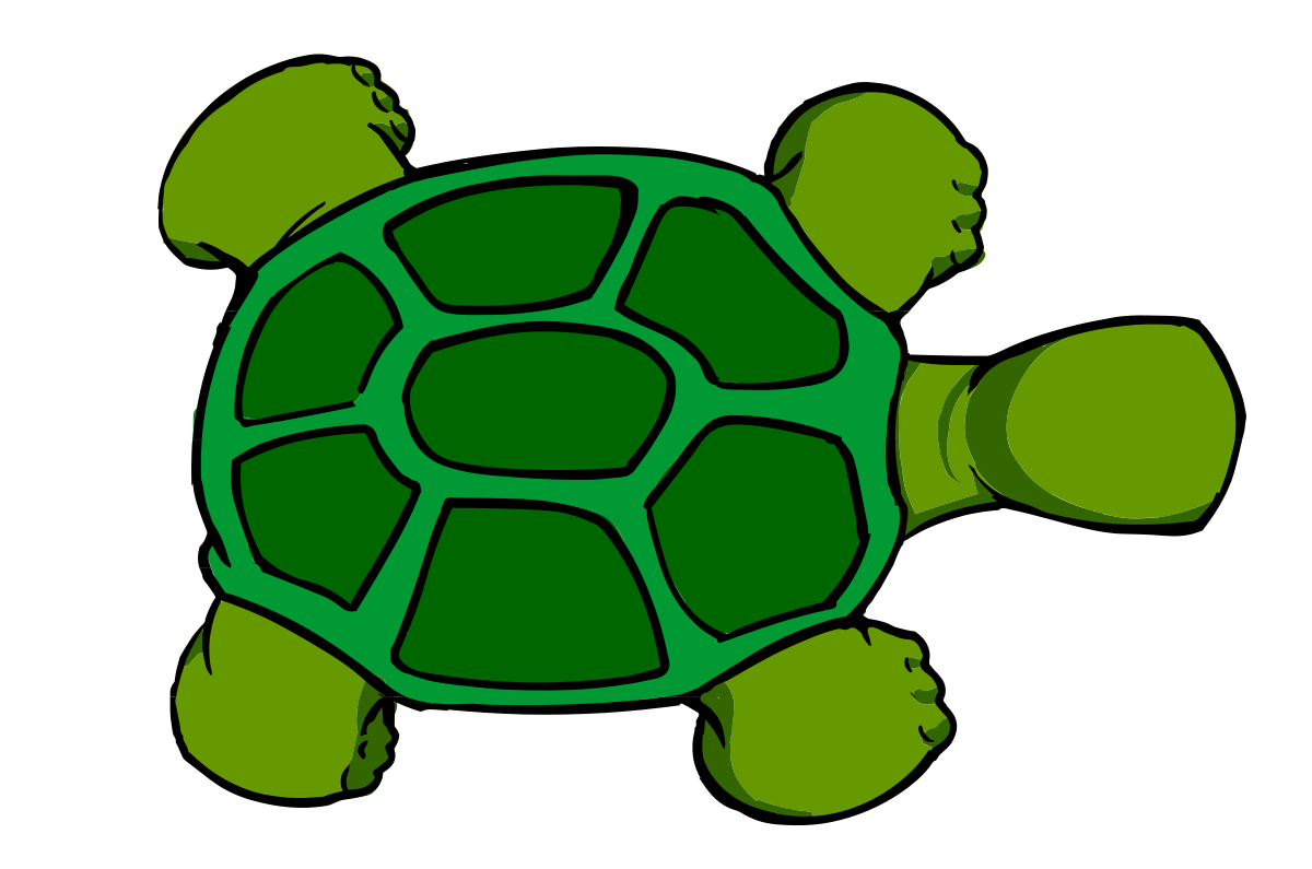 Left turtle. Черепаха Тартаруга. Черепаха рисунок. Черепашка сверху. Черепаха вид сверху.
