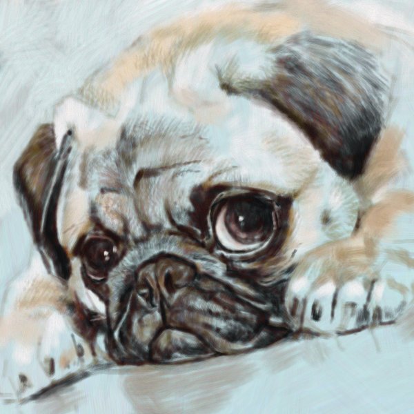 Мопс красками