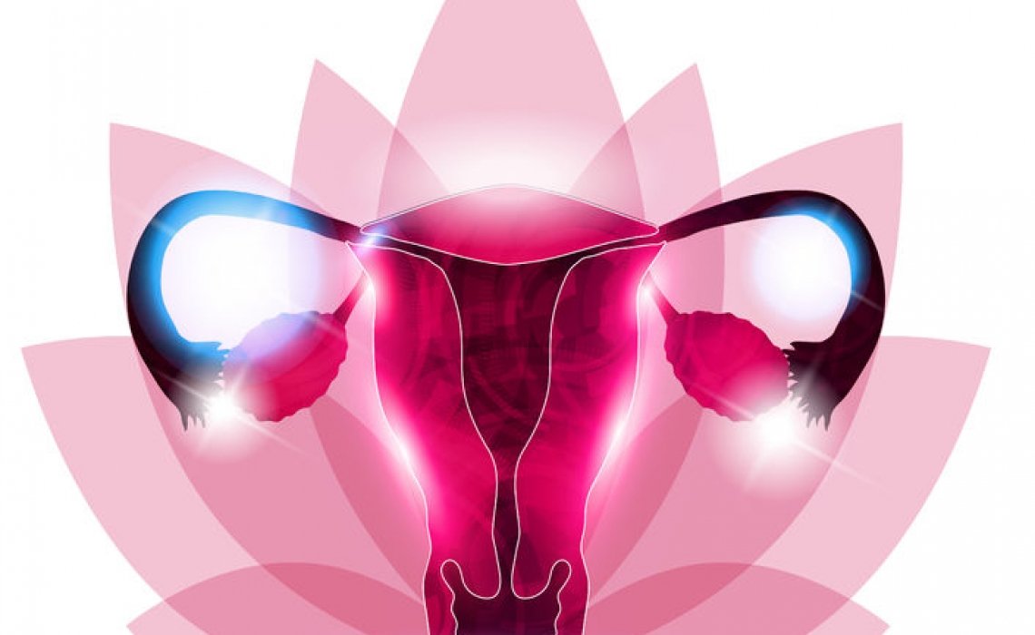 10 женских органов. Репродуктивная система женщины. Здоровые женские органы. Здоровая репродуктивная система женщины.