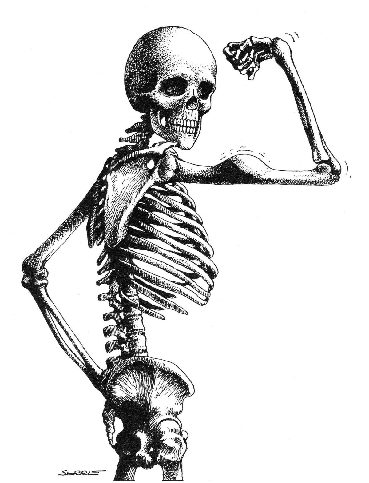 Скелет рисунок смешной