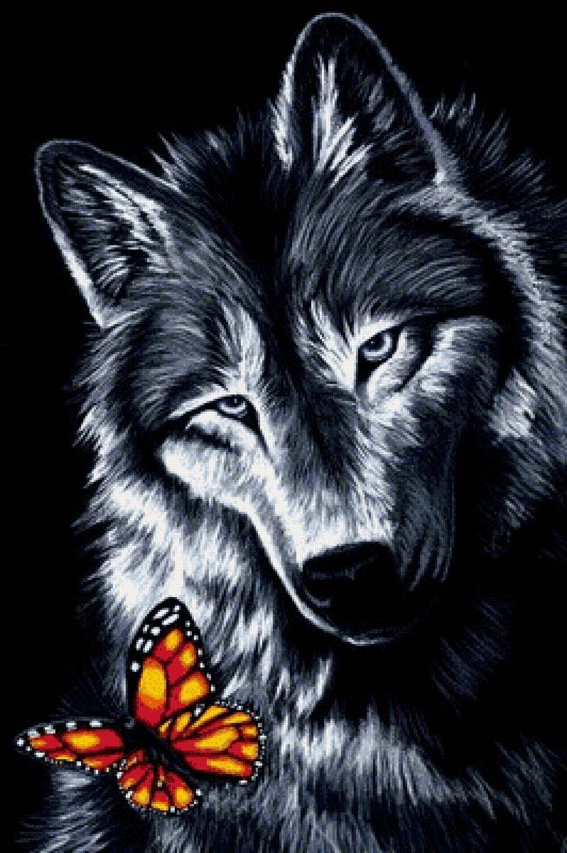 картинки волков красивые нарисованные