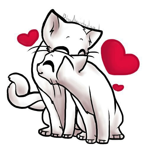 Котик с сердечком в лапках