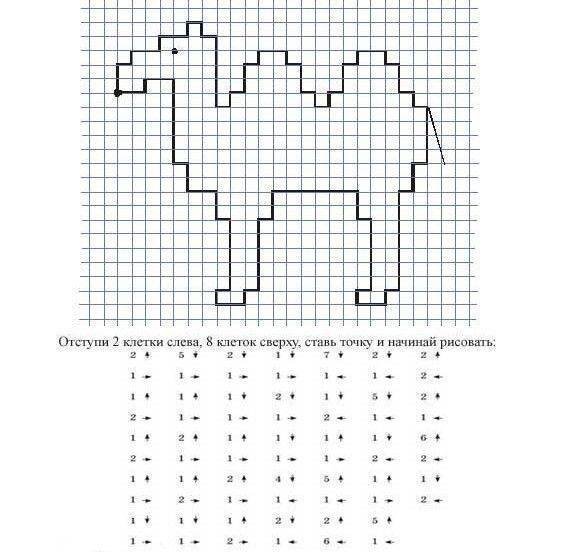 Диктант по стрелочкам для дошкольников 6-7 лет