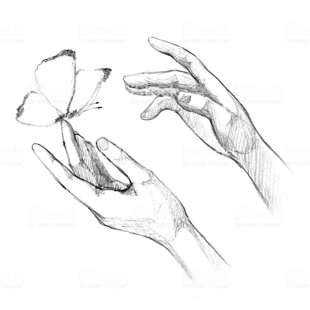 Рука держит цветок скетч
