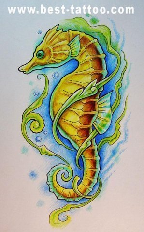 Морской конек акварель