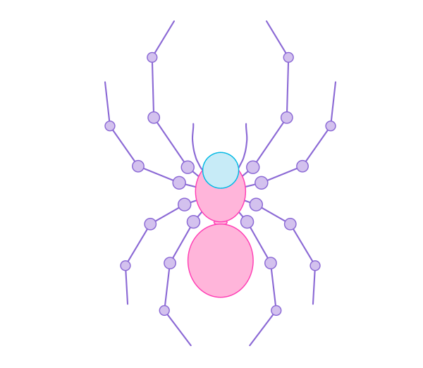 Мультяшный паук анатомия