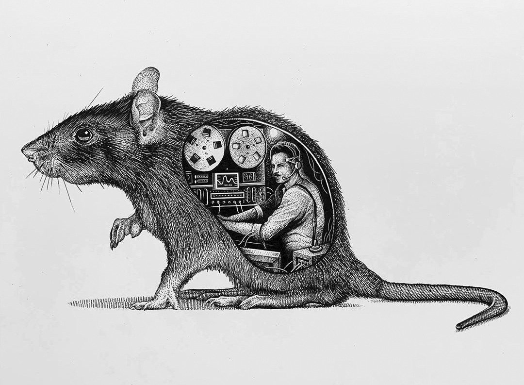 Крыса рисунок карандашом