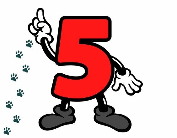 Пятерка оценка