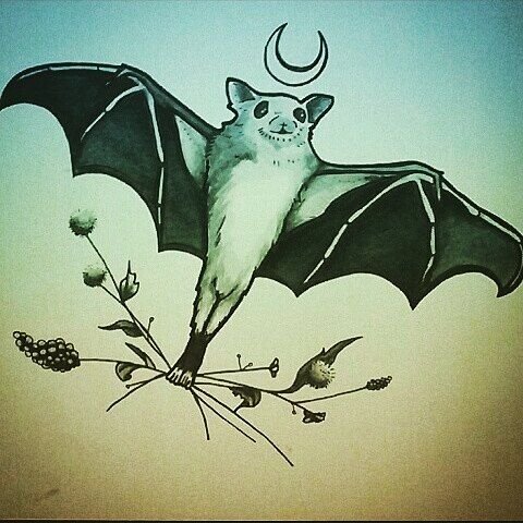 Фруктовая летучая мышь арт